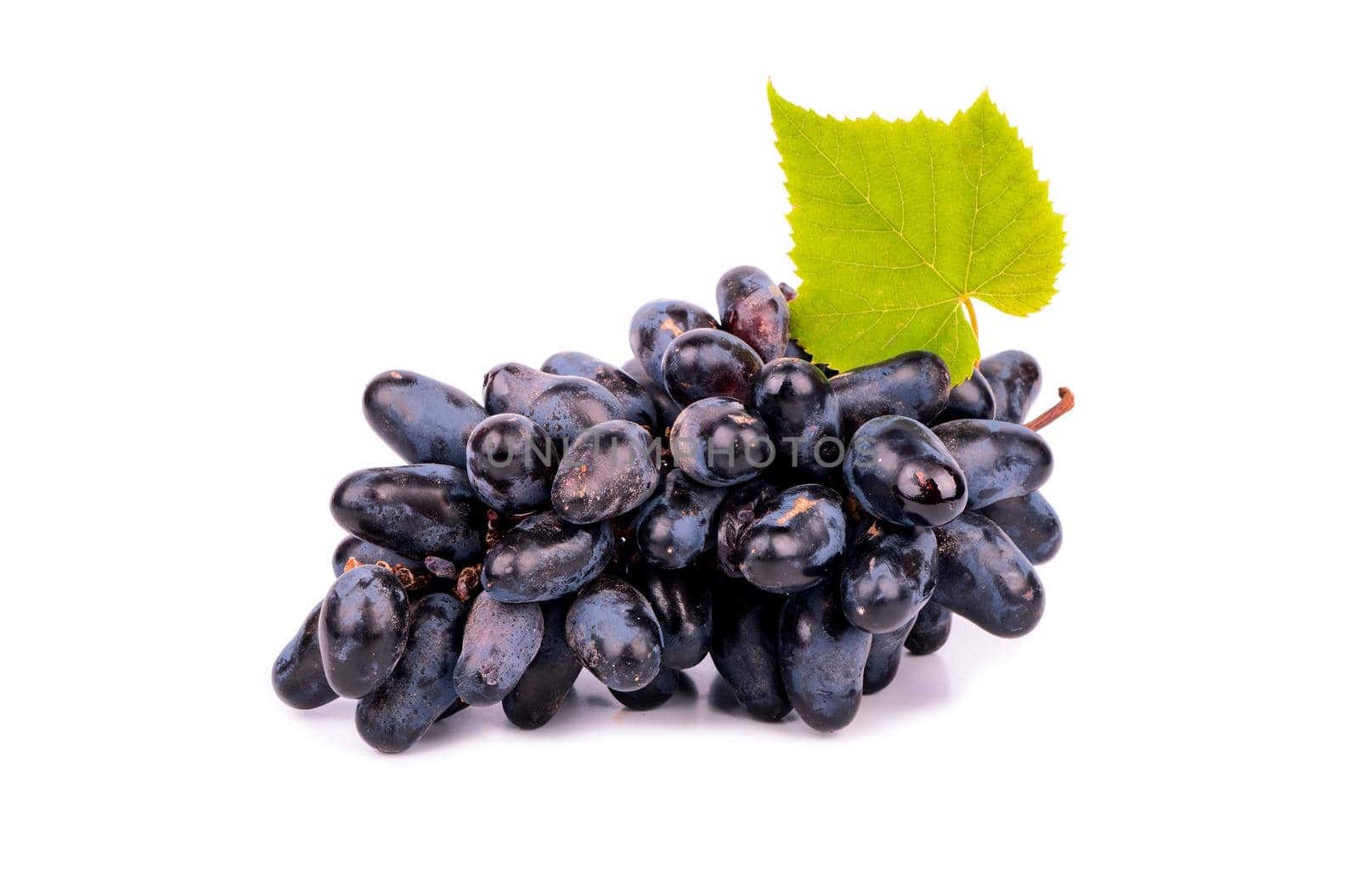 Bunch of black grapes with fresh leaves on white background