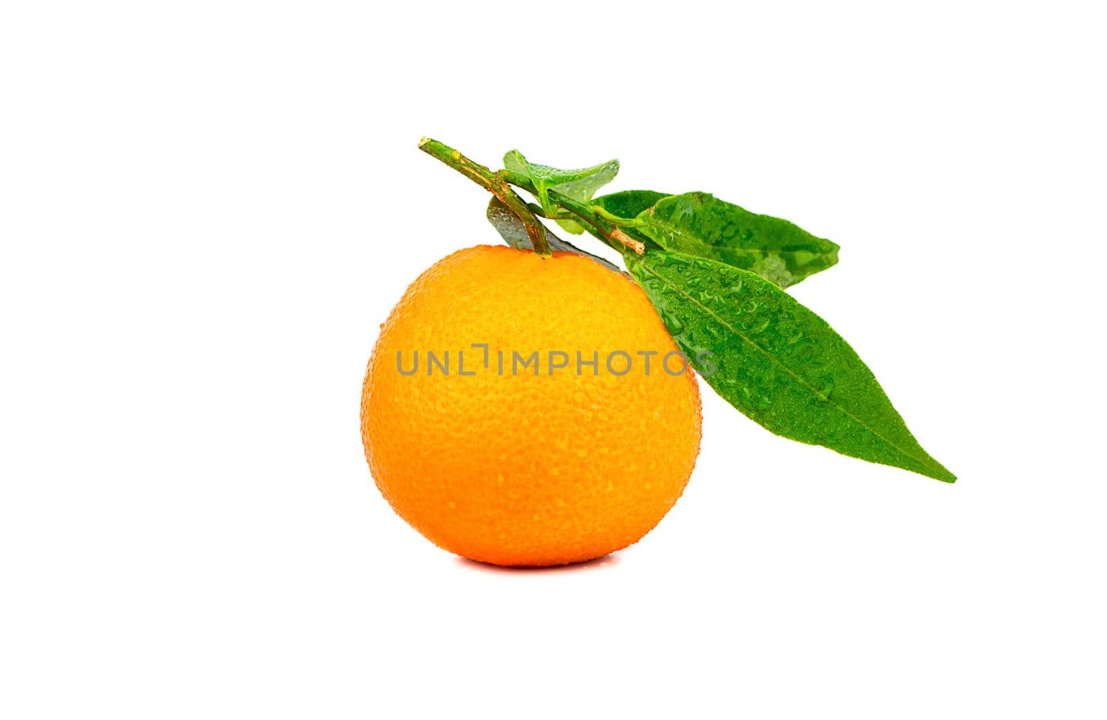Fresh tangerine fruit with leaves and drops isolated on white background