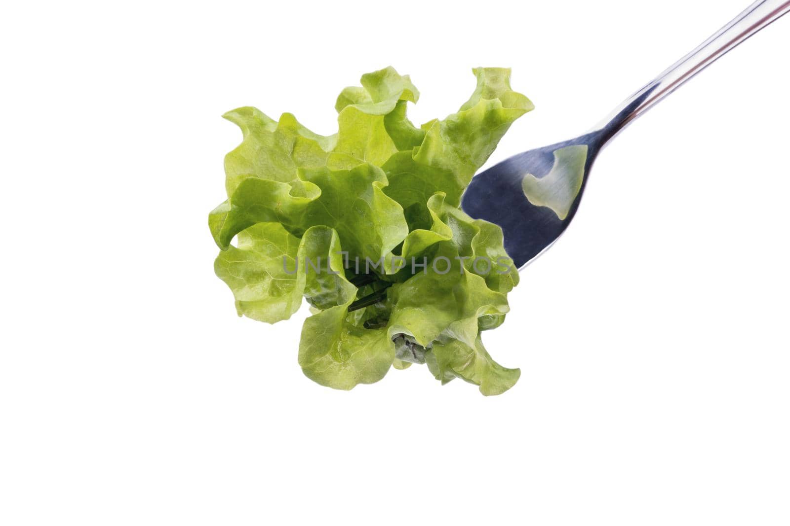 Fresh lettuce leaves on the metal fork on a white background