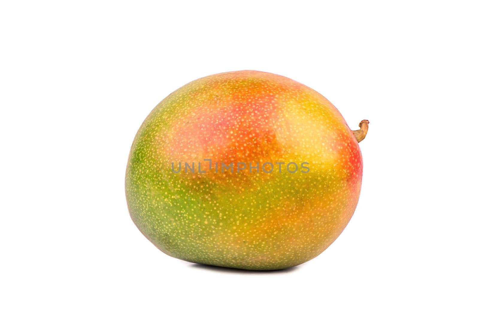 Fresh mango fruit isolated on a white background