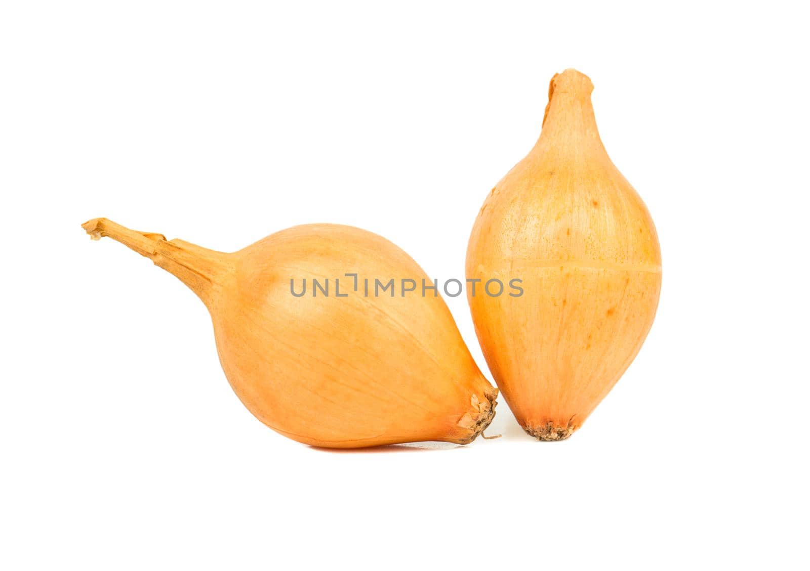 Small onion seeds isolated on white background