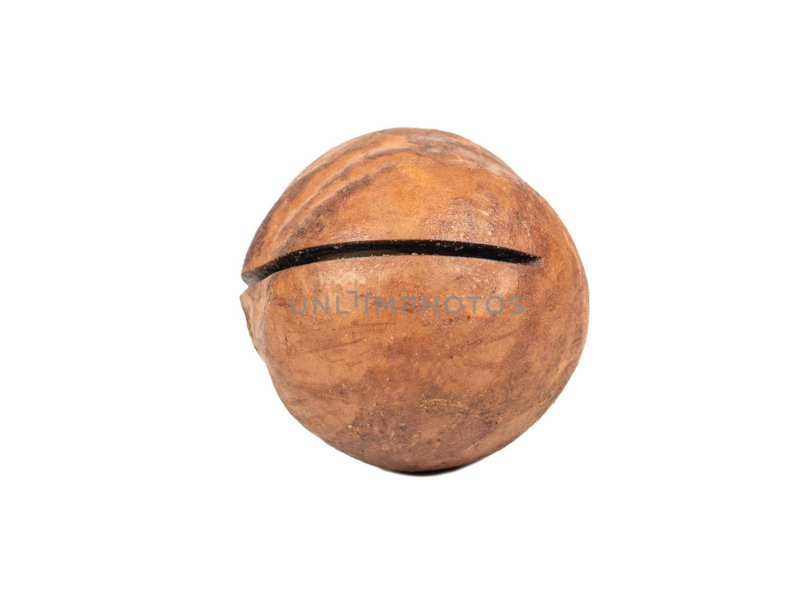 Macadamia nut in a shell isolated on a white background