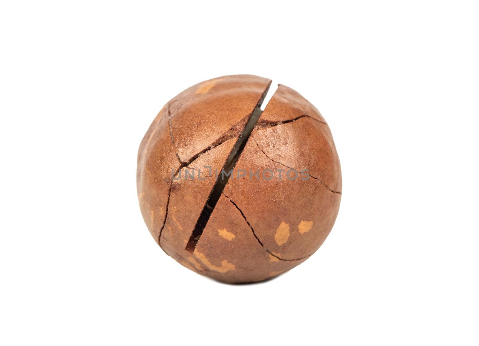 Macadamia nut in a shell with cracks isolated on a white background