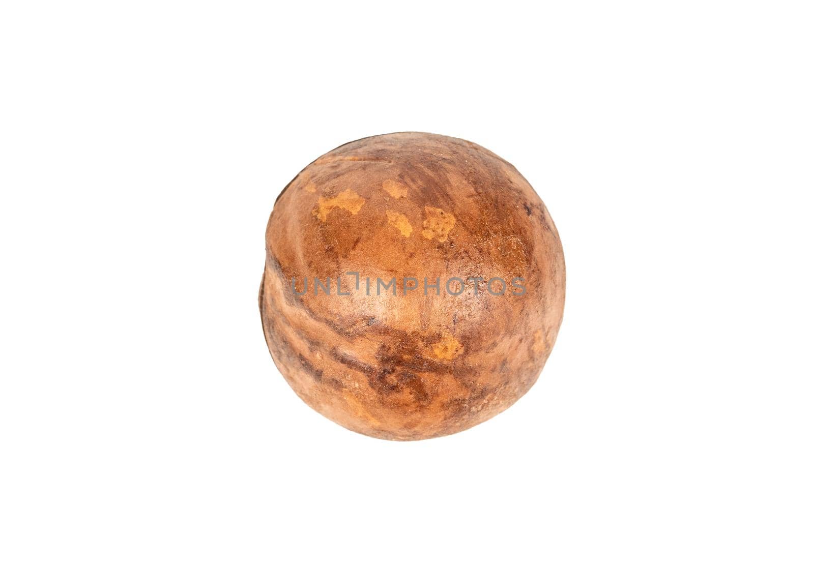 Macadamia nut in a shell isolated on a white background, top view
