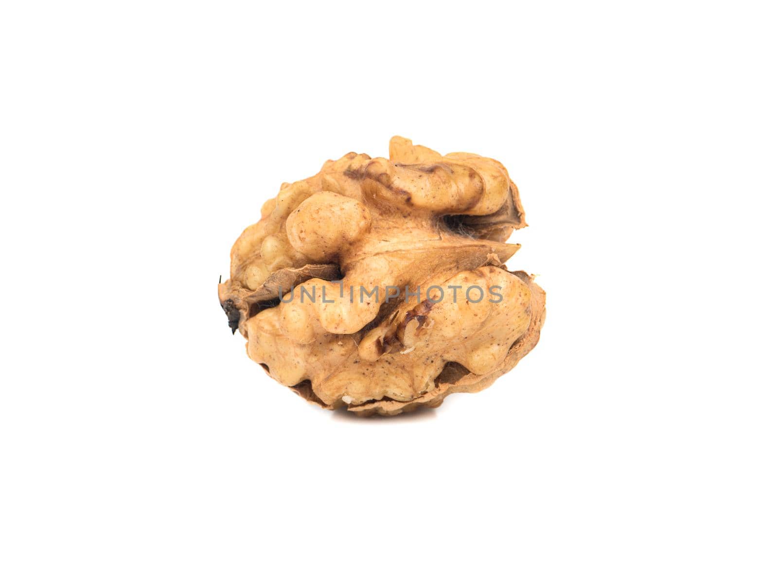 Fresh walnuts without the shell on white background