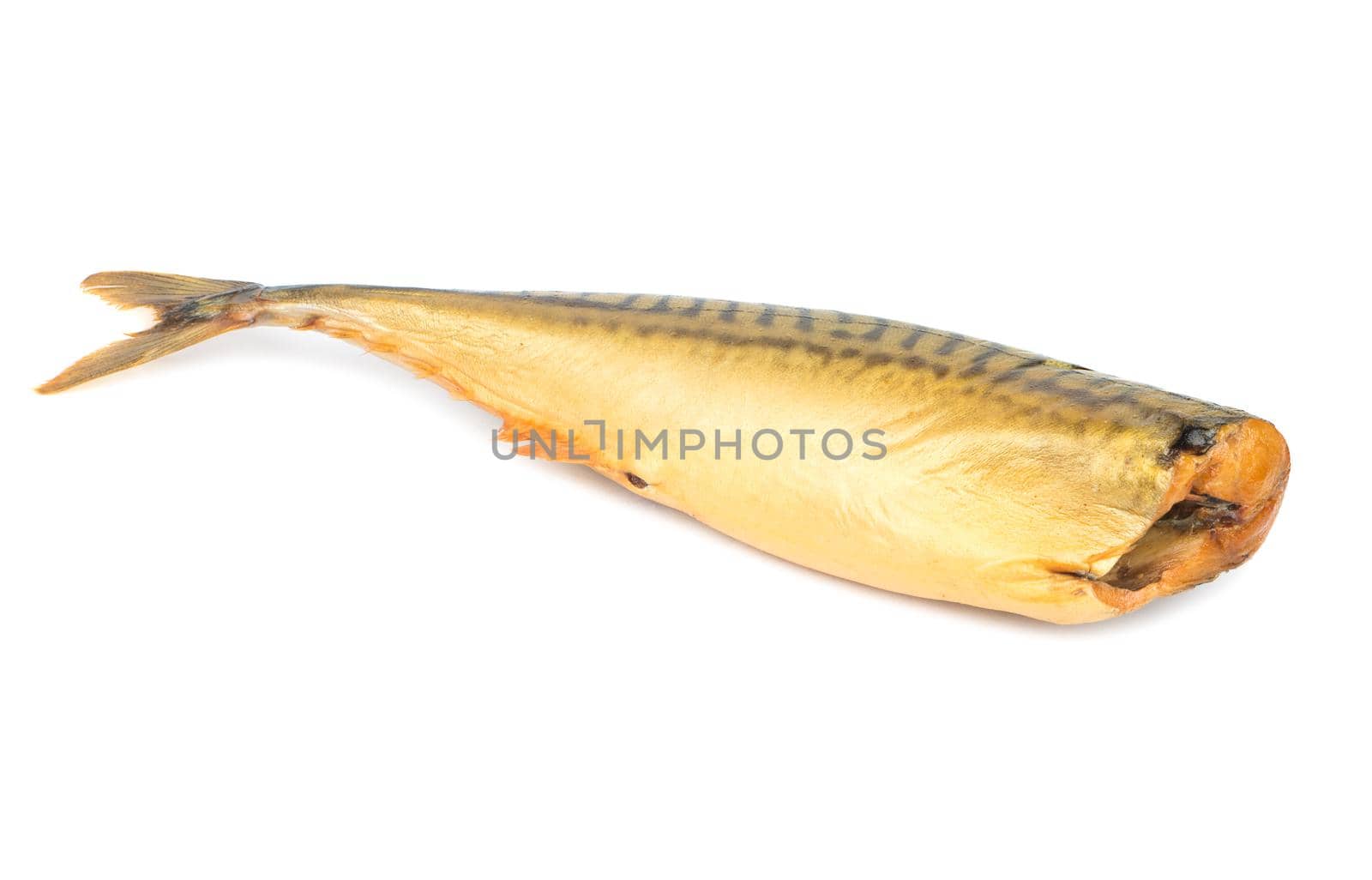 Smoked fish mackerel without head isolated on white background