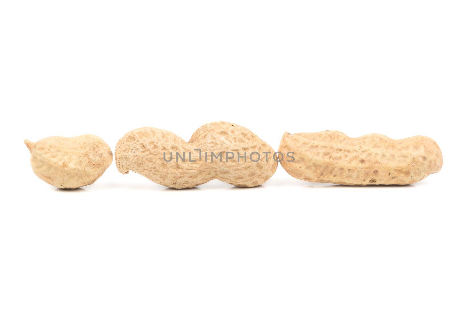 Three peanut inshell with different number of cores on a white background