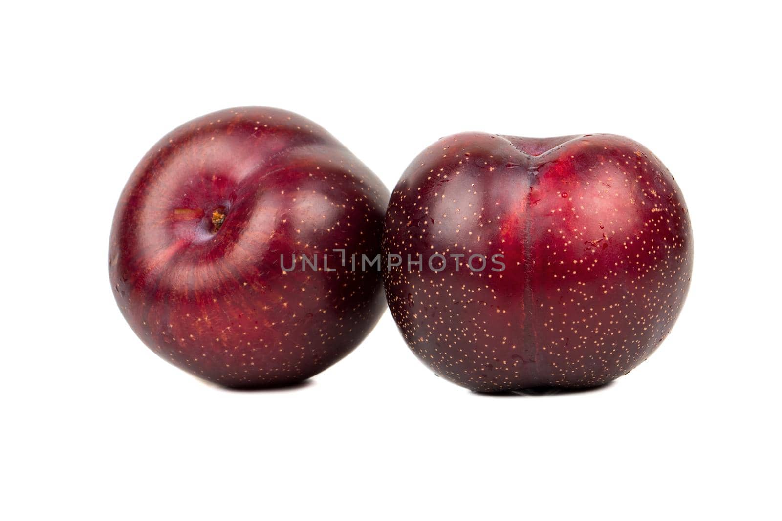 Two large red plums isolated on white background