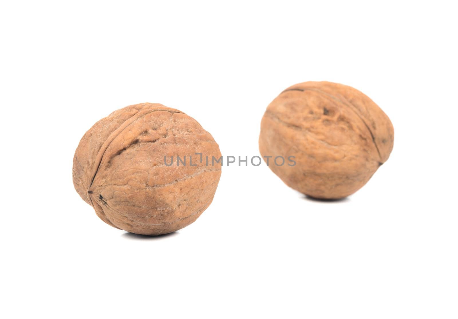 Two walnut in shell isolated on white background