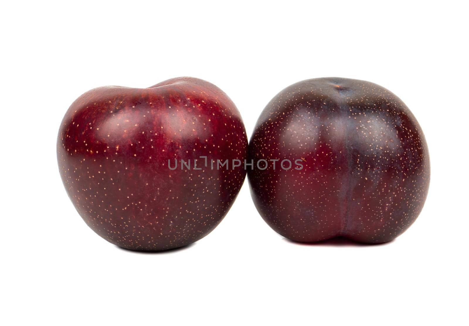 Two ripe big red plums isolated on white background