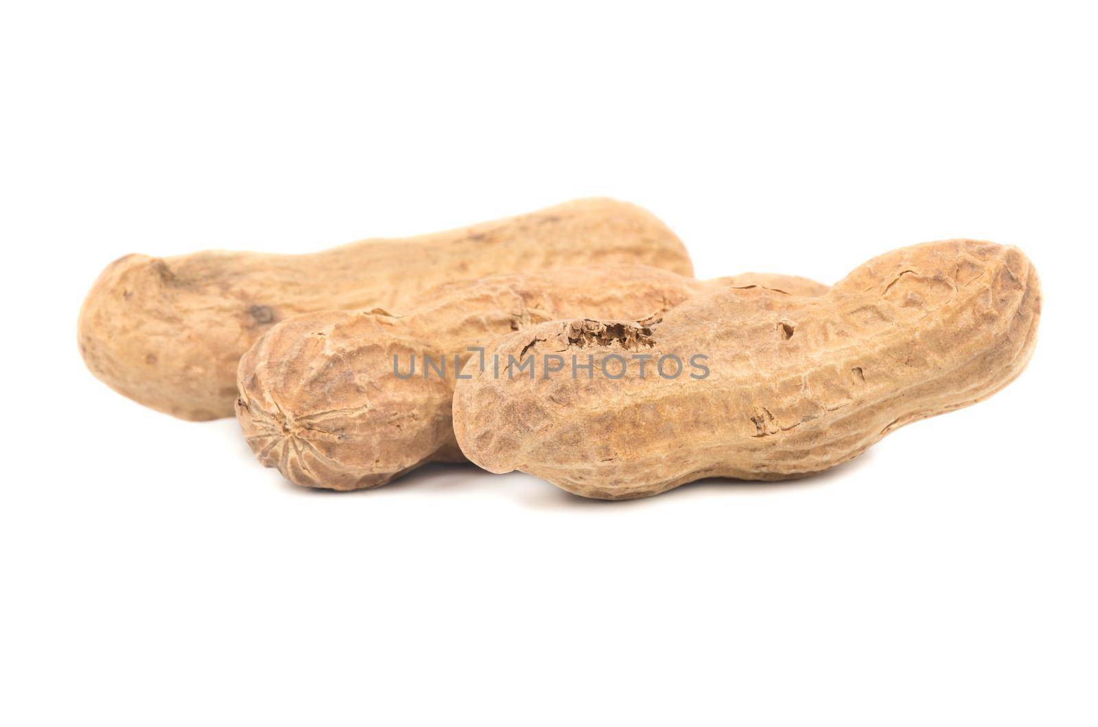 Three peanuts in shell on white background closeup