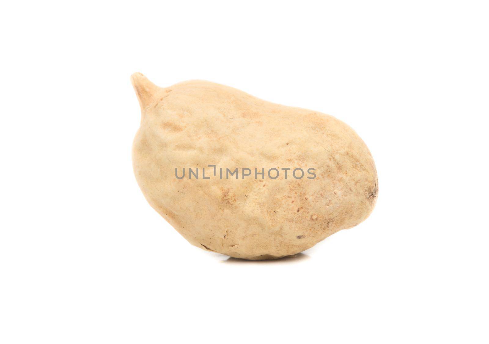 Peanuts in shell one core on a white background