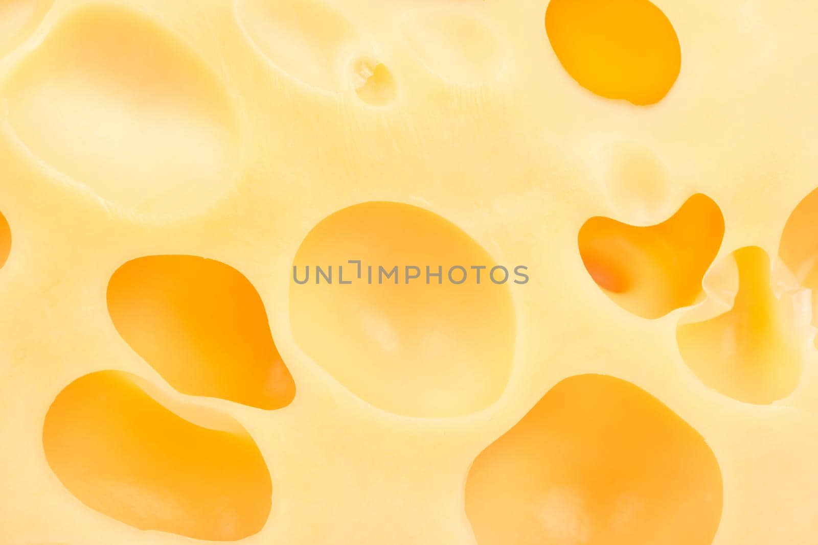 Background of Swiss cheese with holes close-up