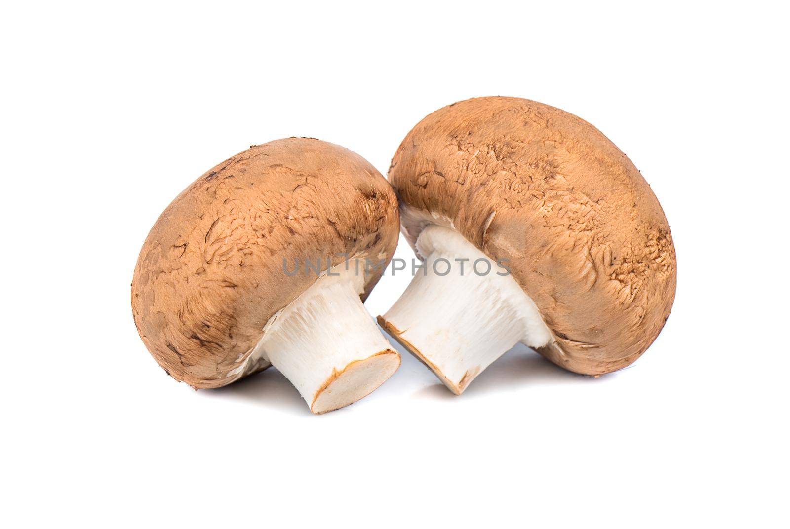 Two fresh royal champignon mushroom on a white background