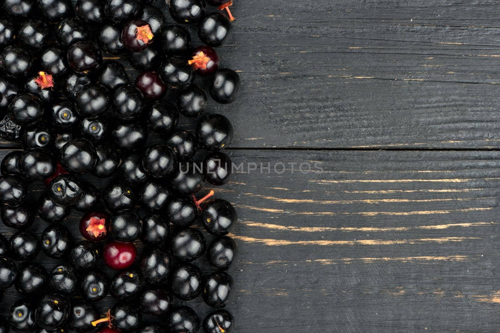 Scattered fresh berries of bird cherry empty wooden background