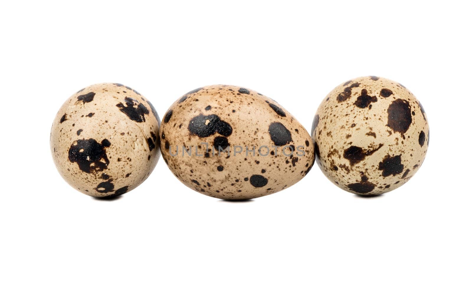 Three raw quail eggs in a row on a white background