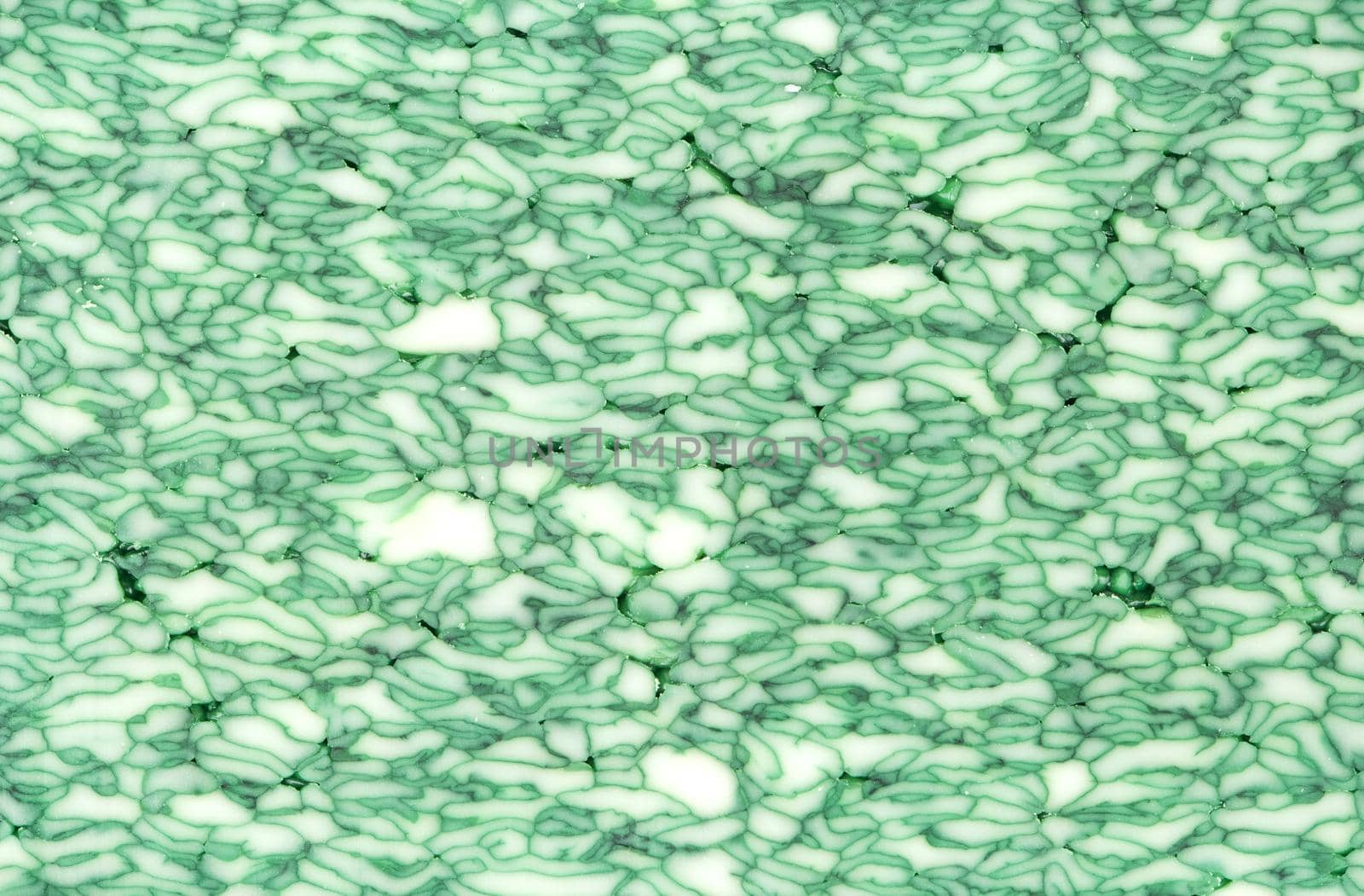 Background of a slice of green cheese with Basil closeup