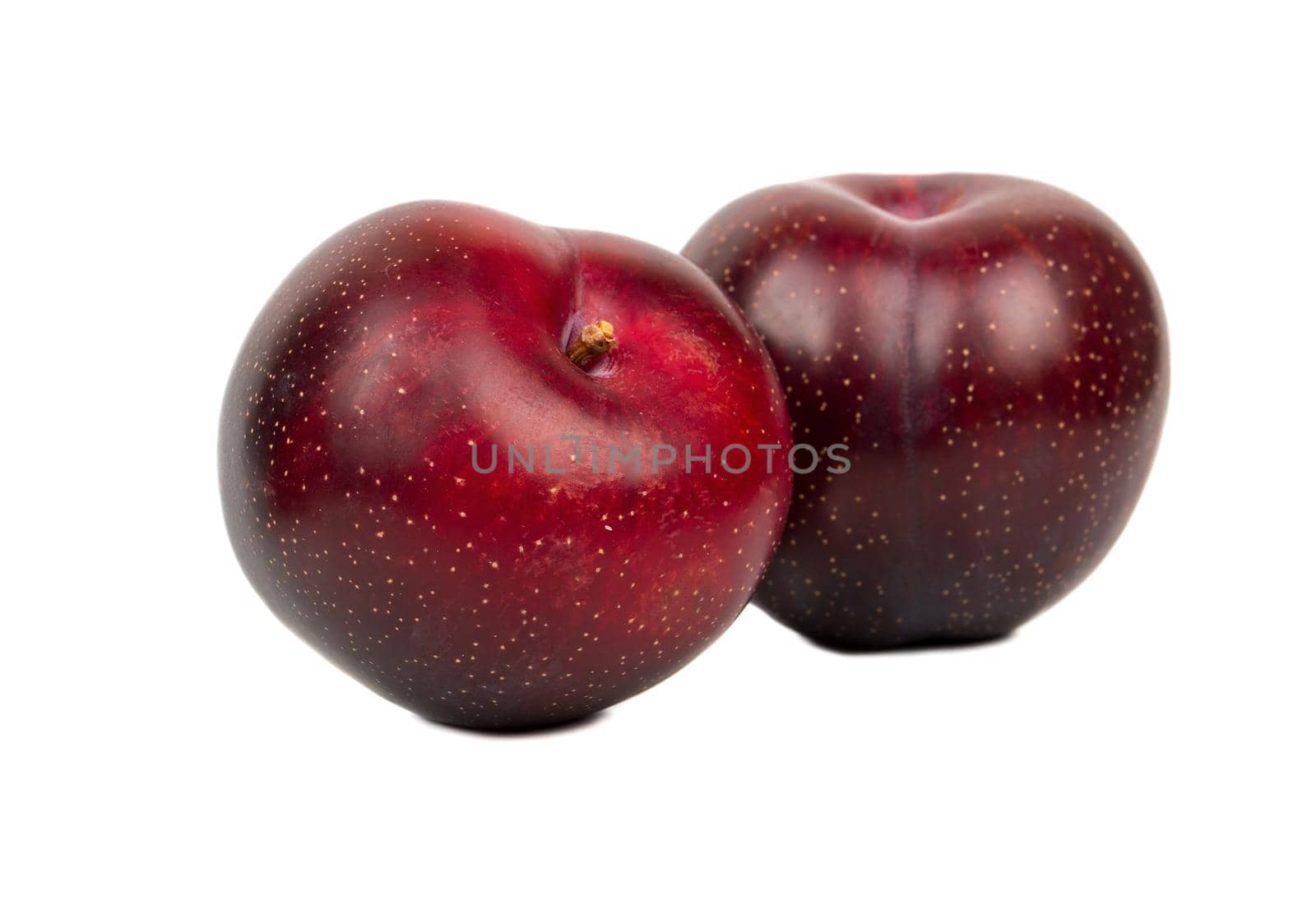 Two ripe big red plums isolated on white background
