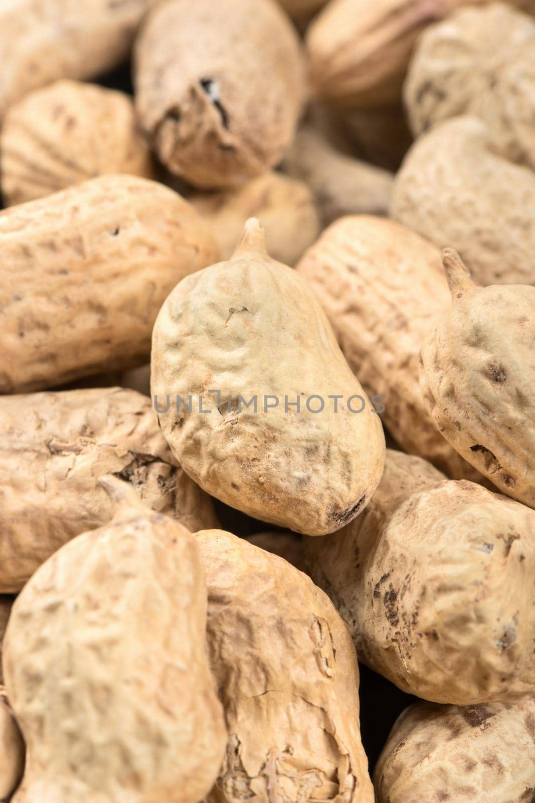 Scattered dry peanuts in a shell close-up