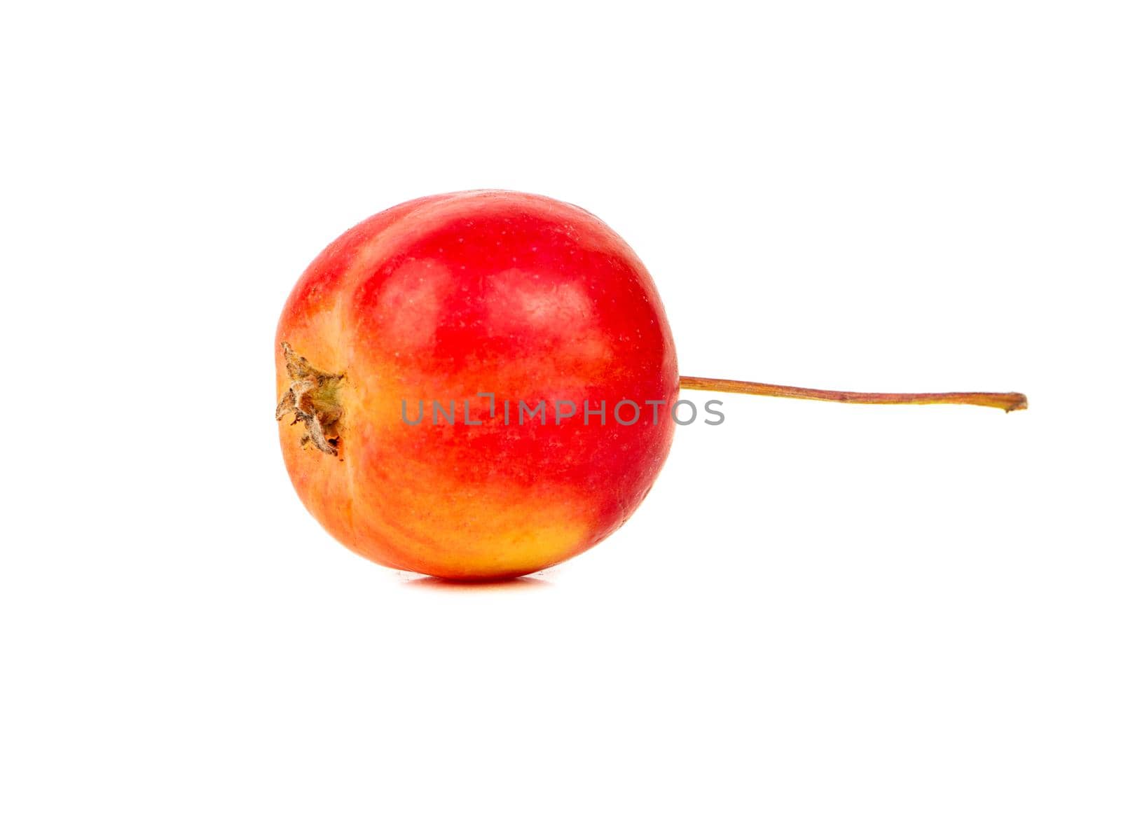 Little red paradise apple isolated on white background