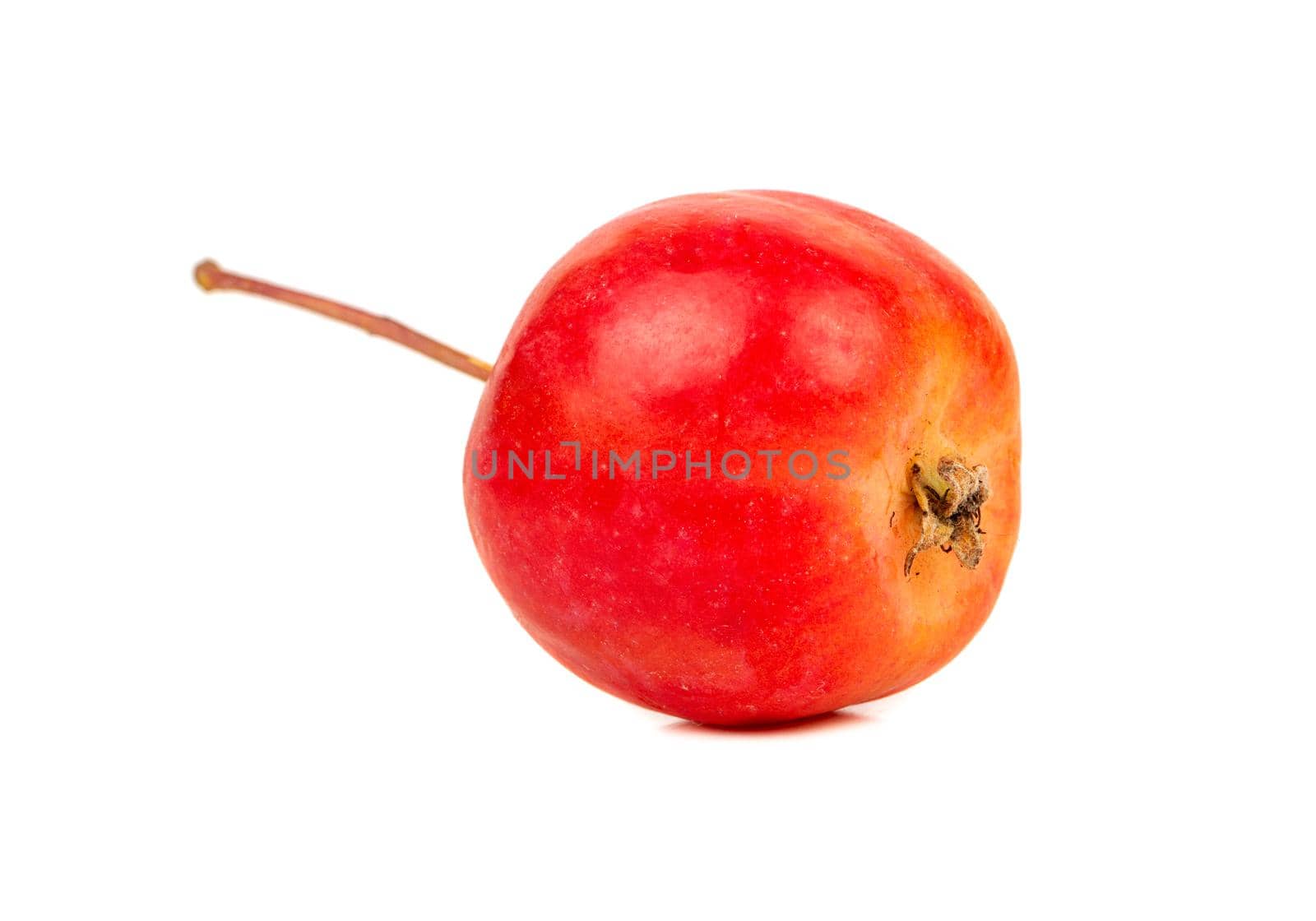 Little red paradise apple on white background