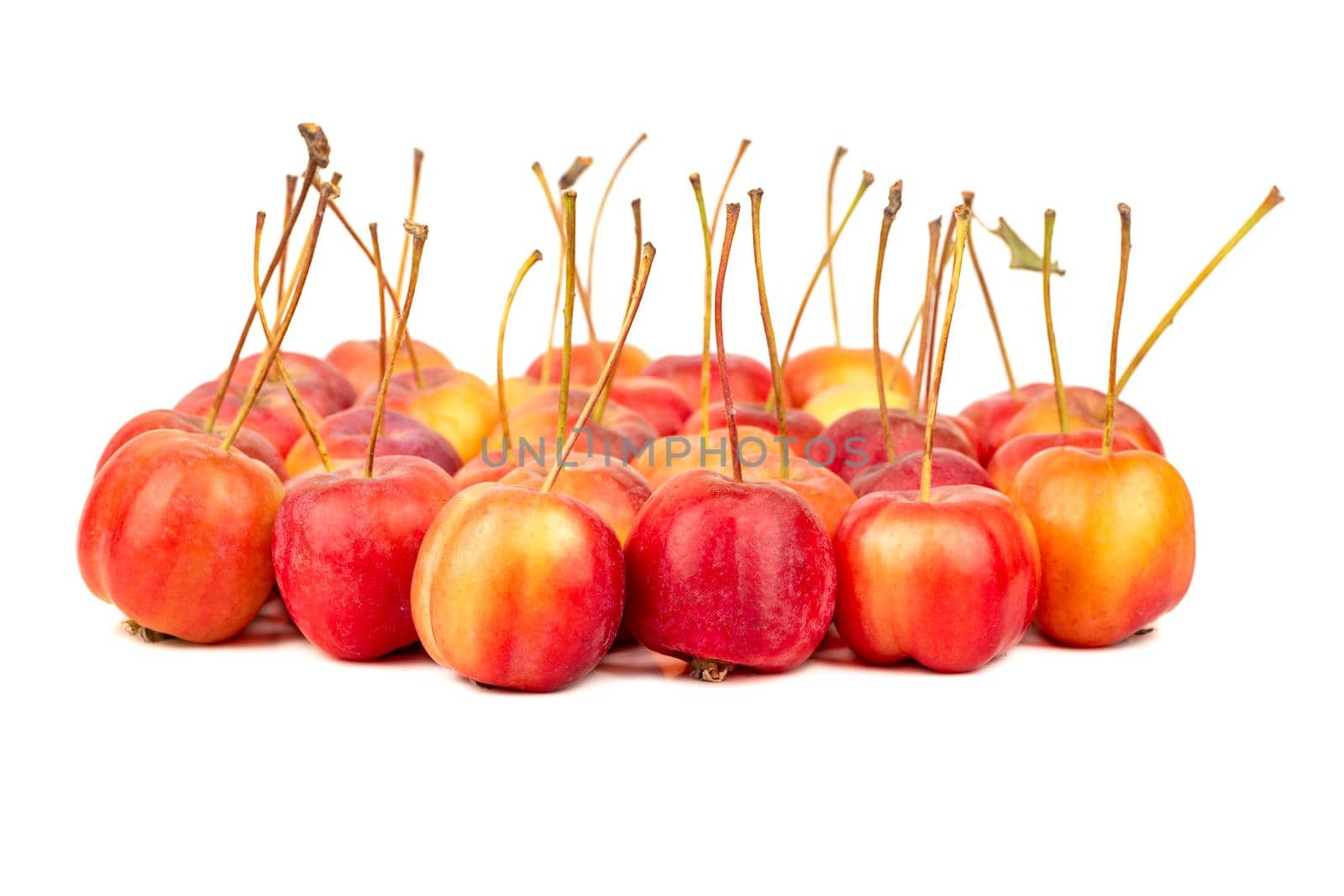 Lots of small paradise apple on a white background