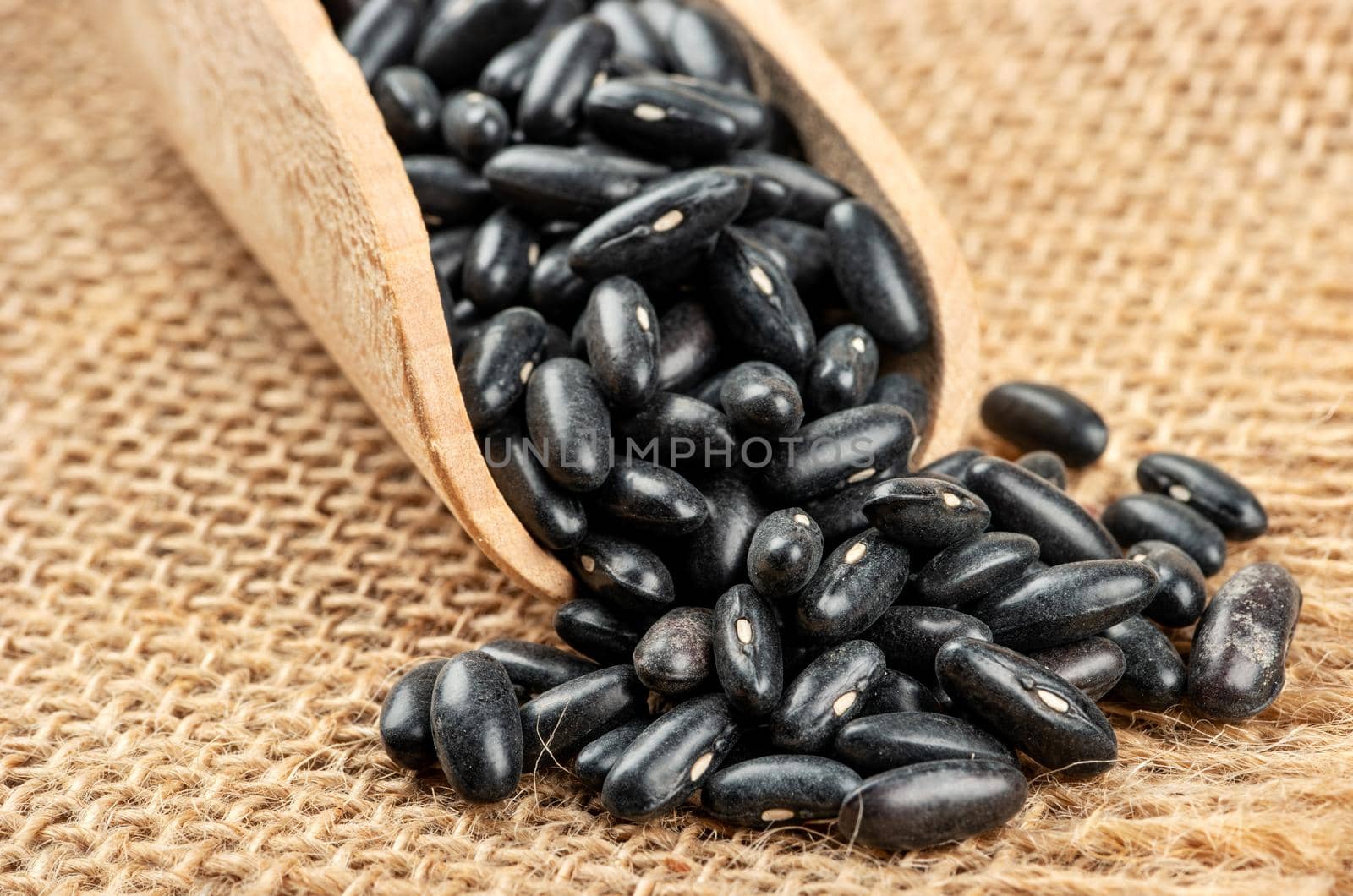 Black beans in wooden scoop on burlap closeup