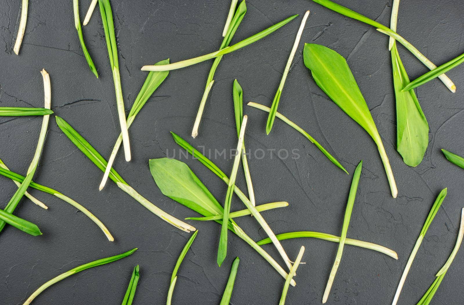 Scattered leaves of fresh wild garlic on a concrete background, top view