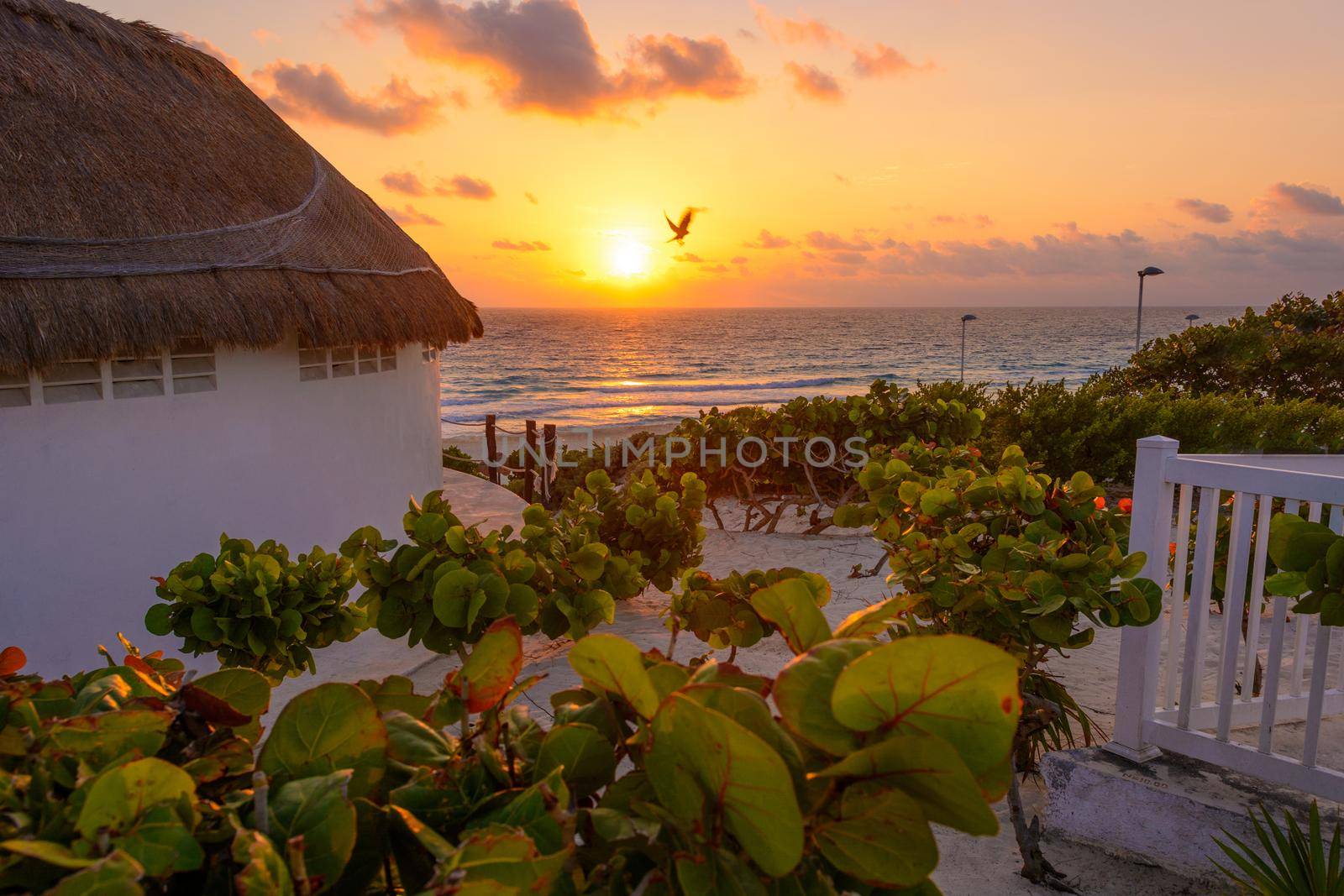 Dawn on the Caribbean Sea. Clear sky with small clouds. Clear weather.