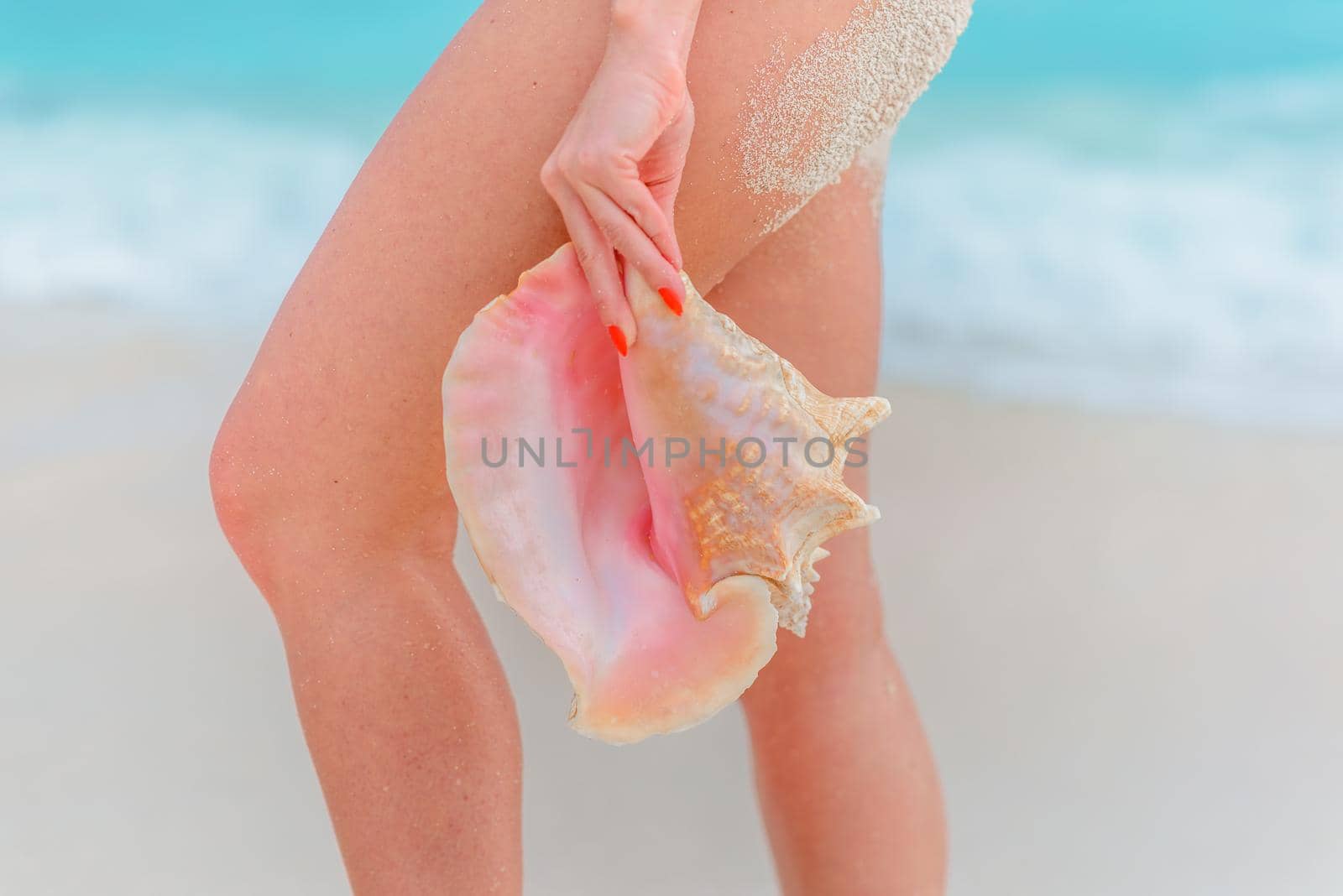 A huge shell in the hands of a girl in a dress.