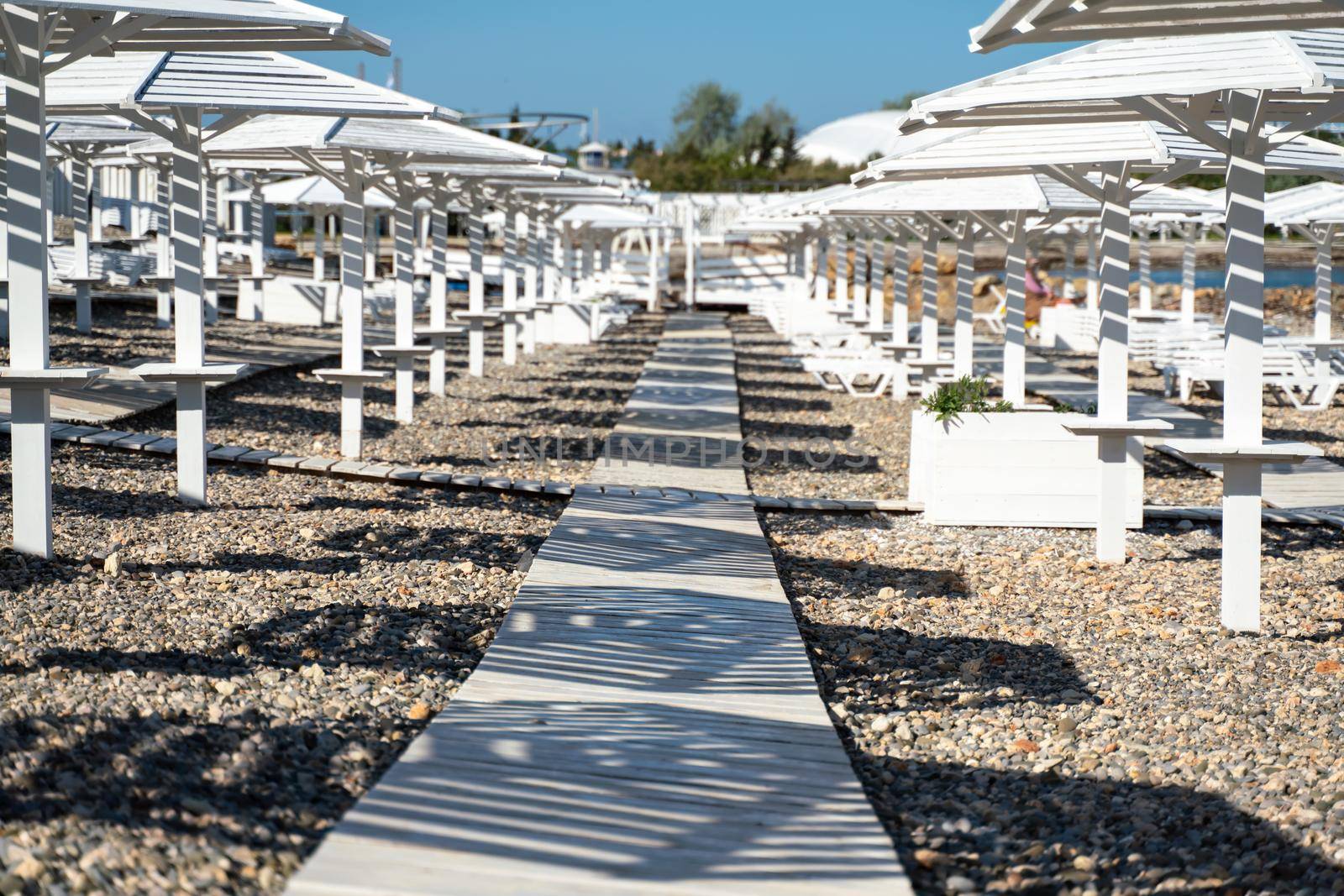 Rows of wooden umbrellas from the sun on the seashore in the morning. Wooden paths on the sand between umbrellas. Beach holiday at the resort. by Matiunina