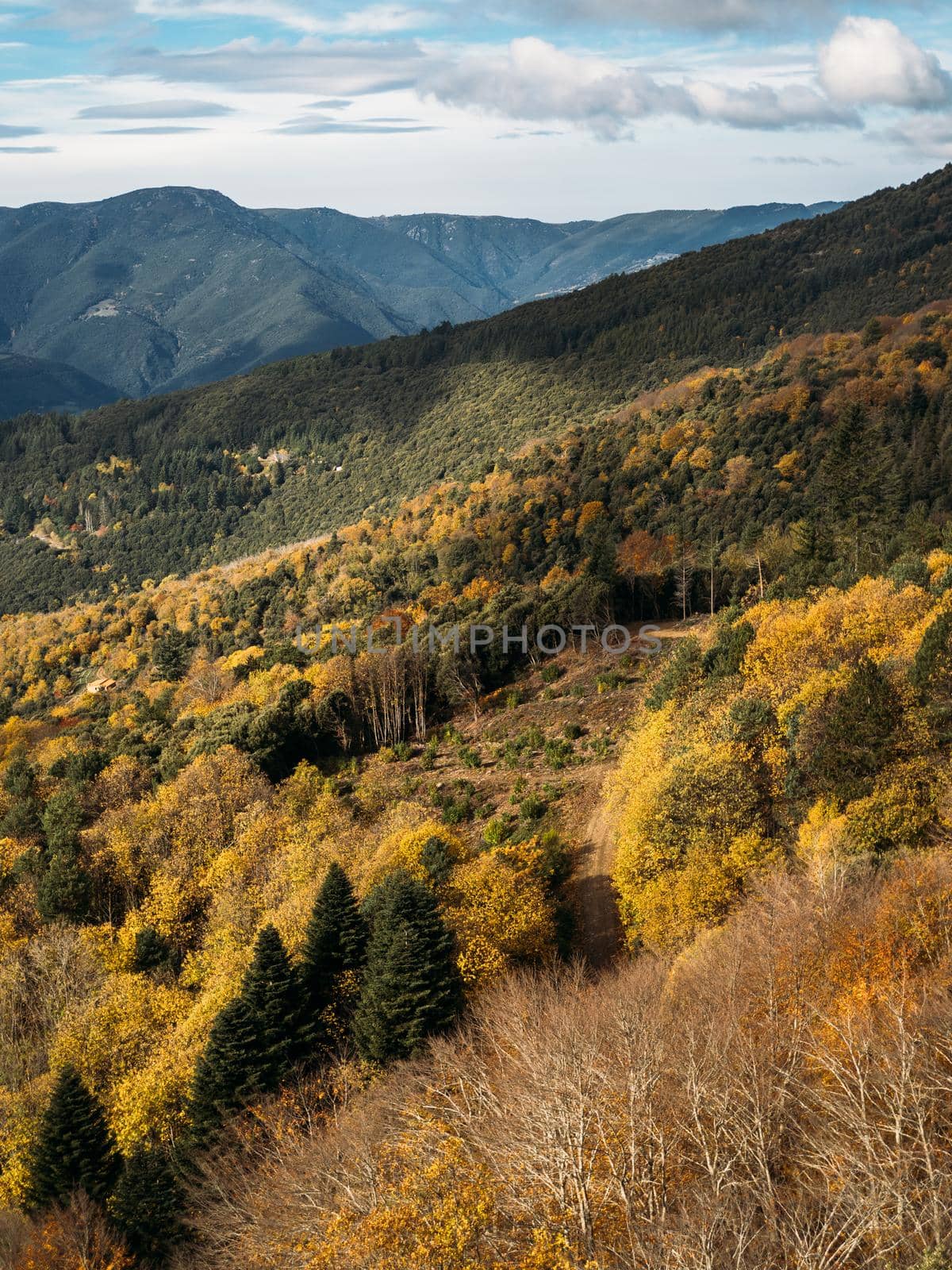 Autumn landscape with mountains and beautiful colored trees in the forest. Wonderful picturesque background
