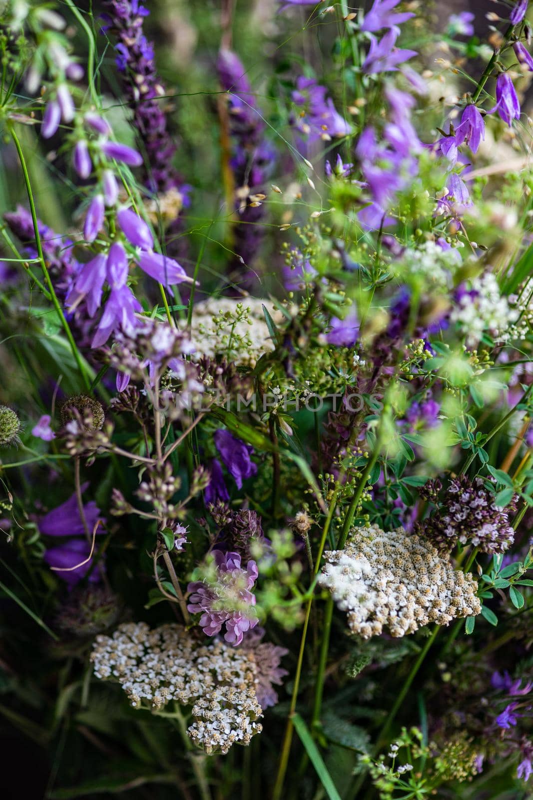 Beautiful wild flowers in bouquet on wooden table