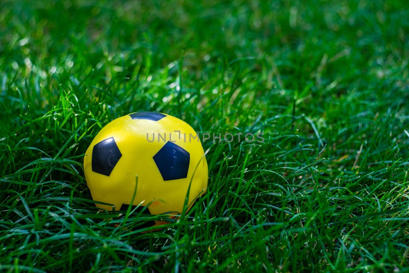 Yellow and black ball in the green grass