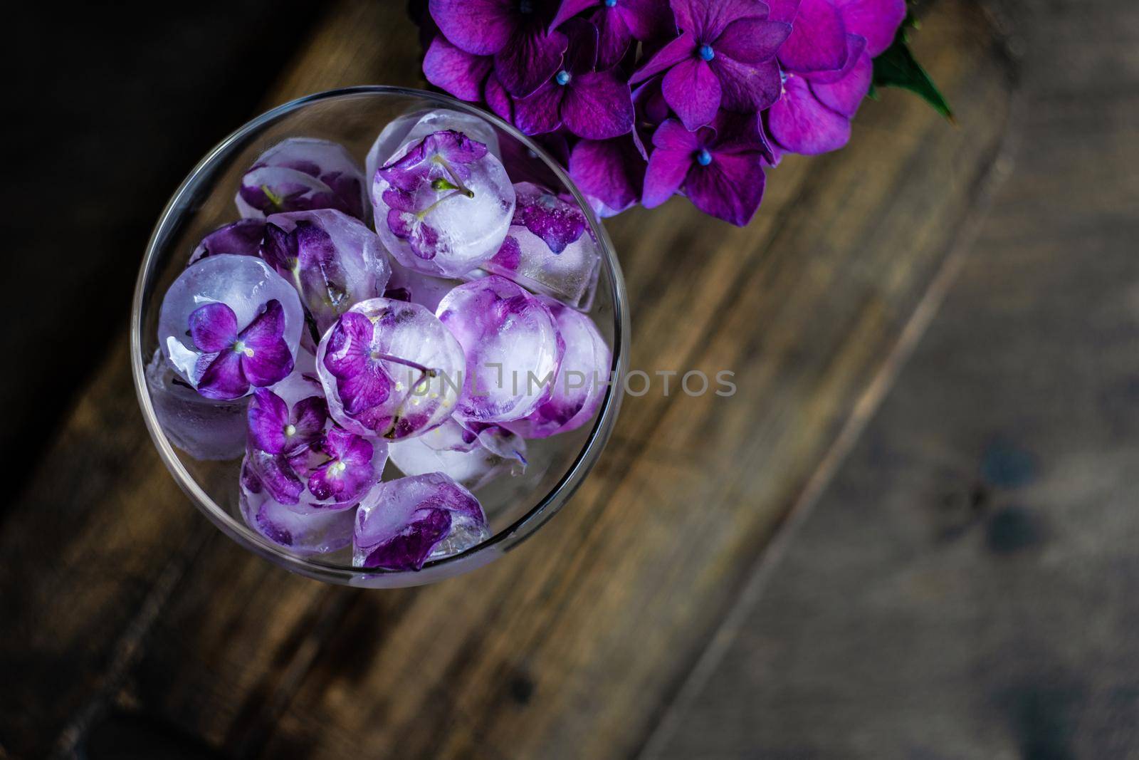 Glass with purple hydrangea flower ice cubes as a refreshing summer drink concept