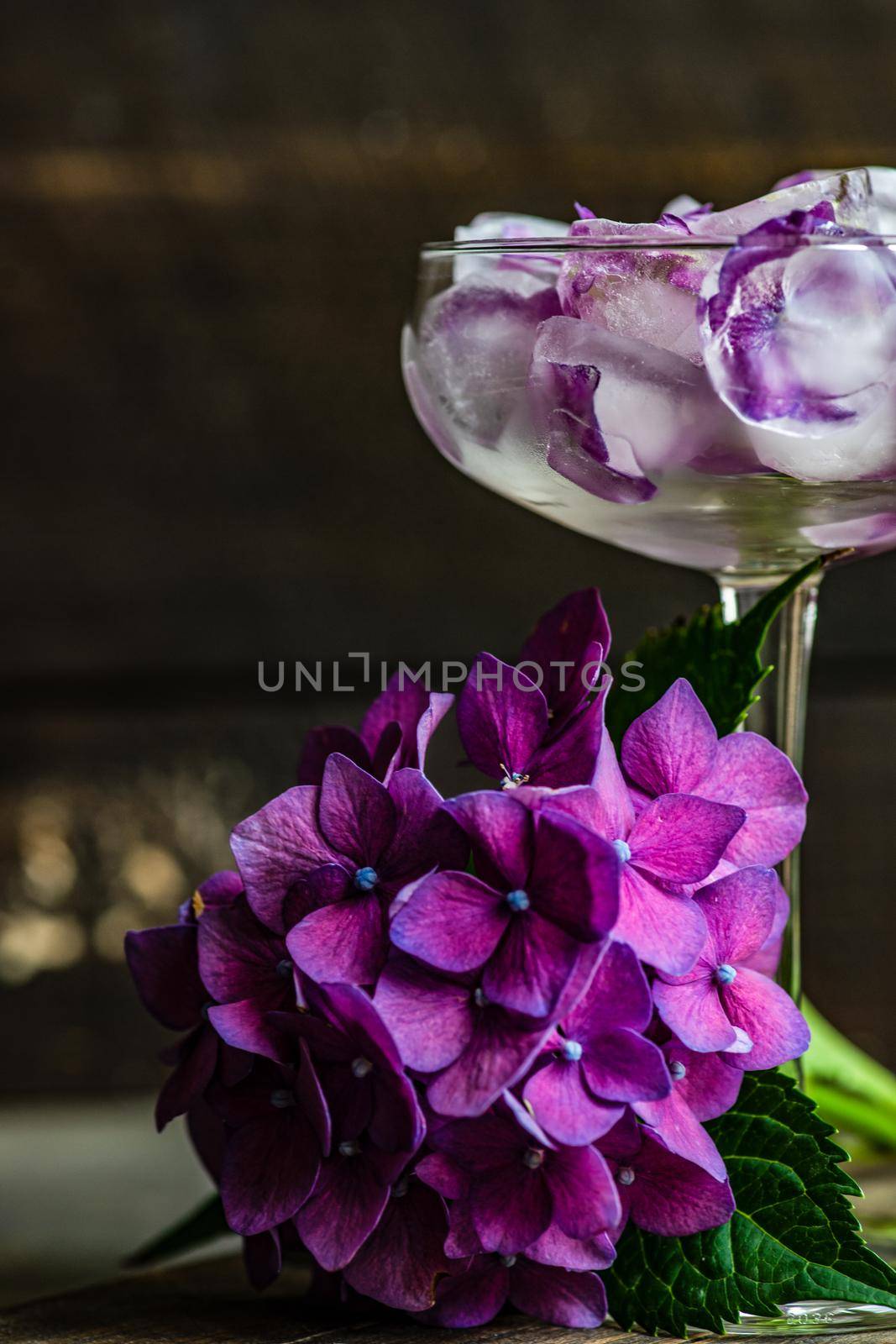 Glass with purple hydrangea flower ice cubes as a refreshing summer drink concept