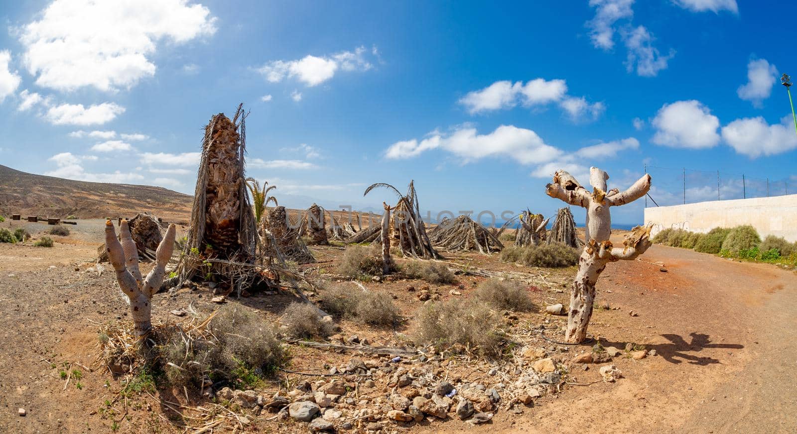 Gran Canaria, Canary Islands, La Isleta peninsula, Montana las Coloradans natural background