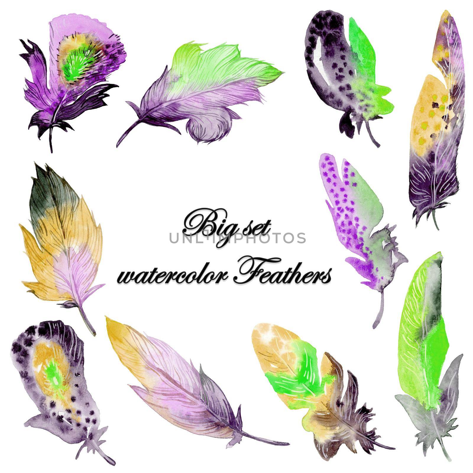Feather element big set. Hand drawn watercolor illustration. by fireFLYart