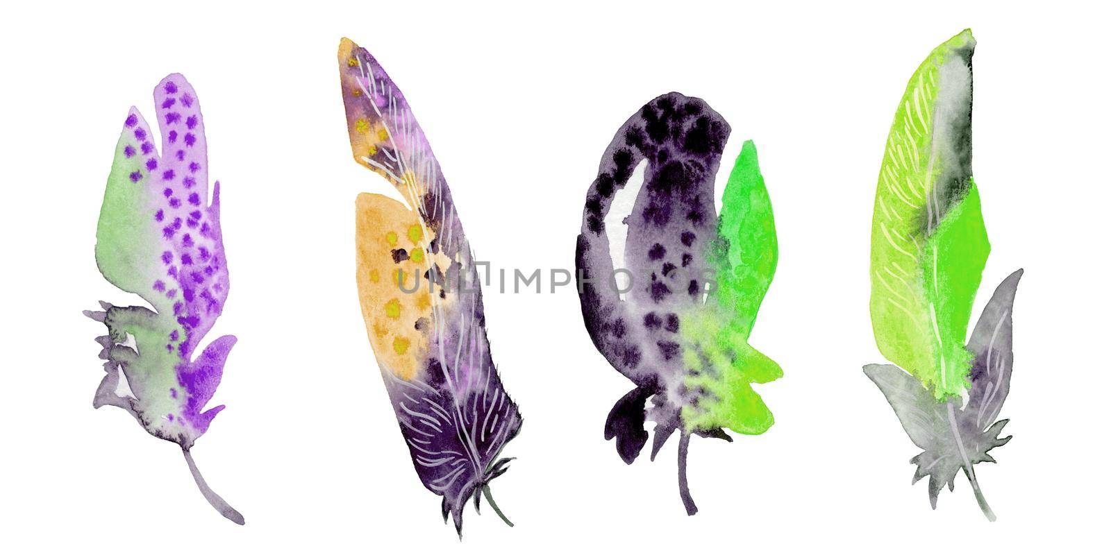 Feather element set. Hand drawn watercolor illustration. by fireFLYart