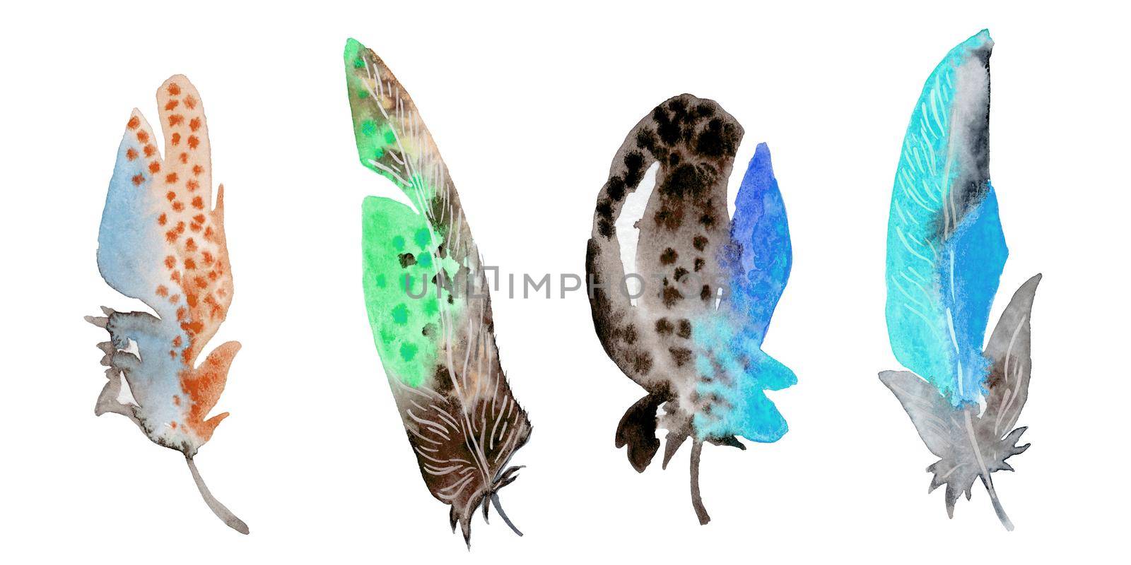 Feather element set. Hand drawn watercolor illustration. by fireFLYart
