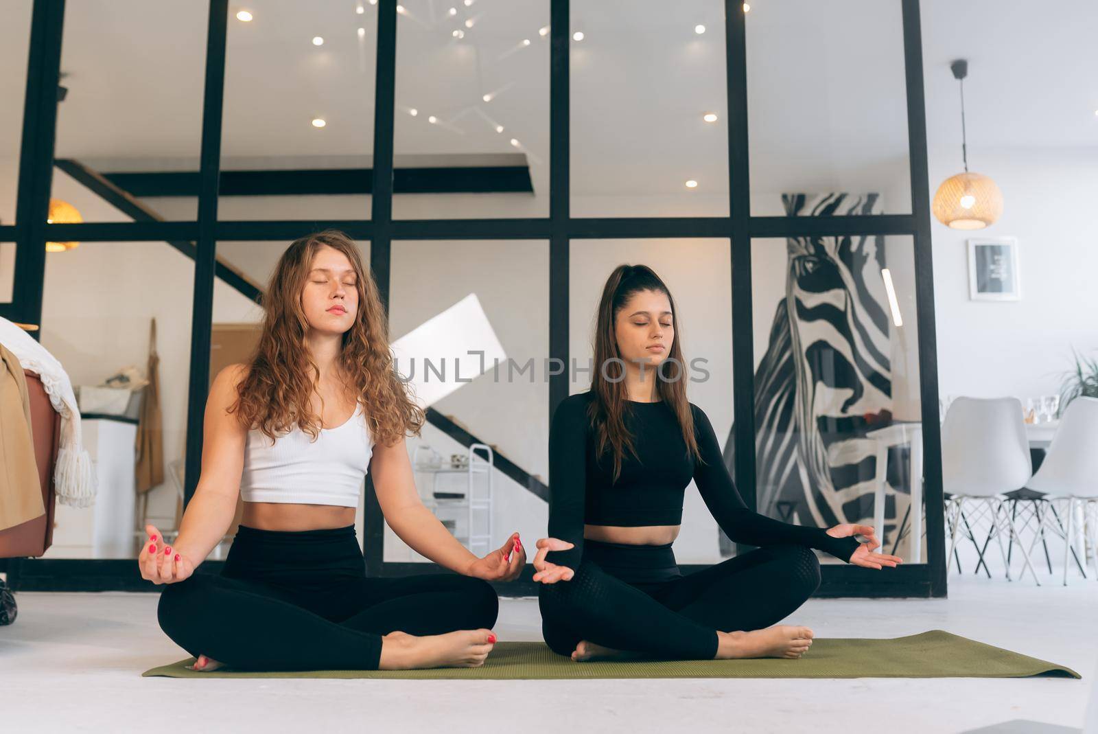 Two young women meditating in lotus pose. Yoga