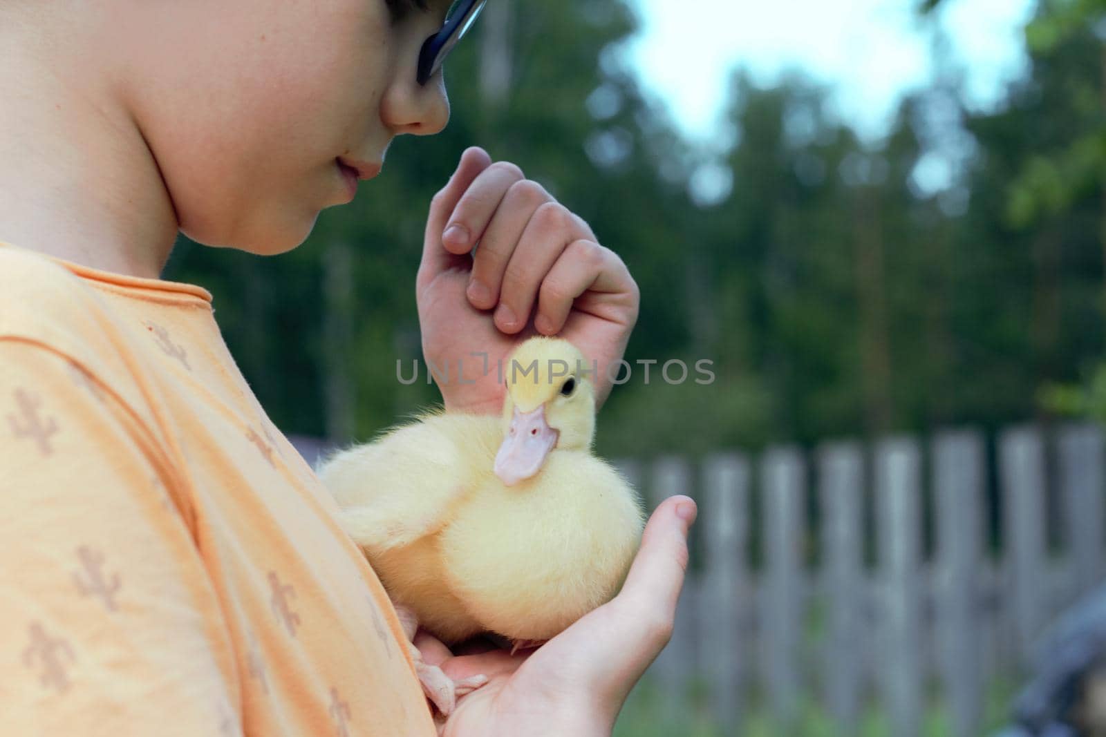 Girl smiling with yellow ducklings on the grass free copyspace by AleksandraLevkovskaya