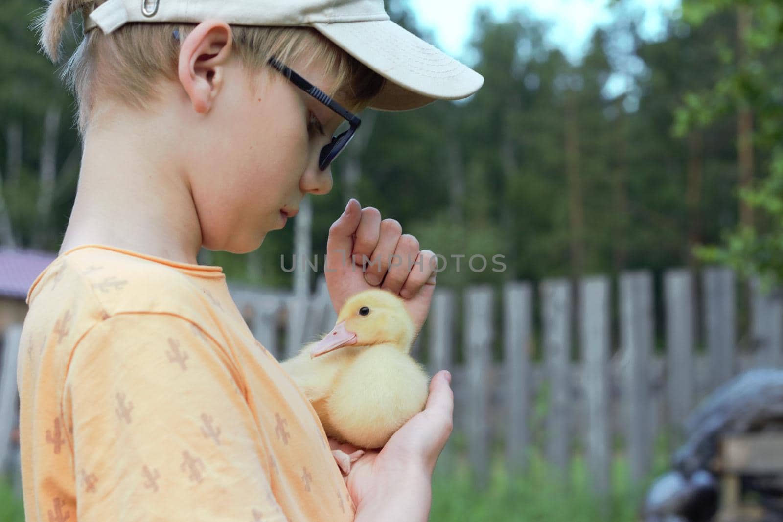 Girl smiling with yellow ducklings on the grass in the farm free copyspace