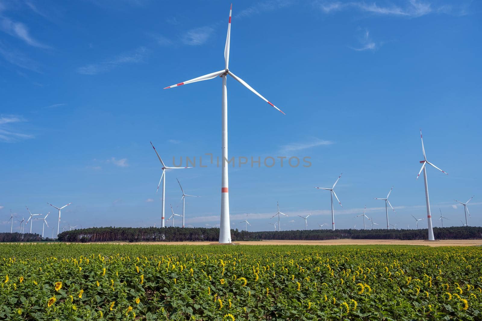 Modern wind energy turbines with blue skies seen in Germany