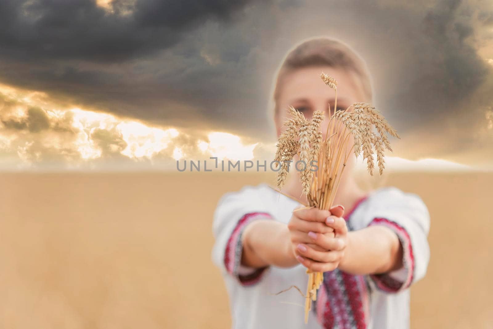 girl with wheat in her hands against the backdrop of the sunset sky by zokov