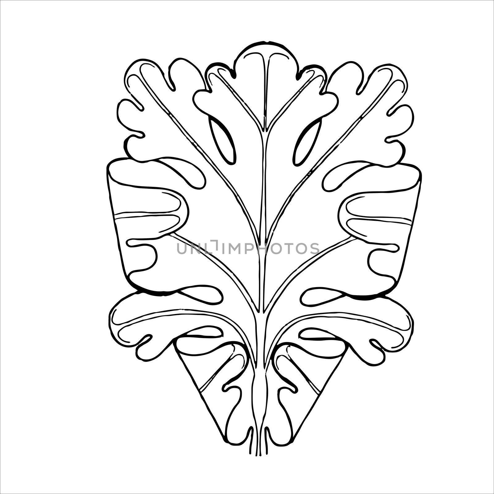 Ornamental contour leaf. Hand-drawn outline sketch illustration on white background isolated. by fireFLYart