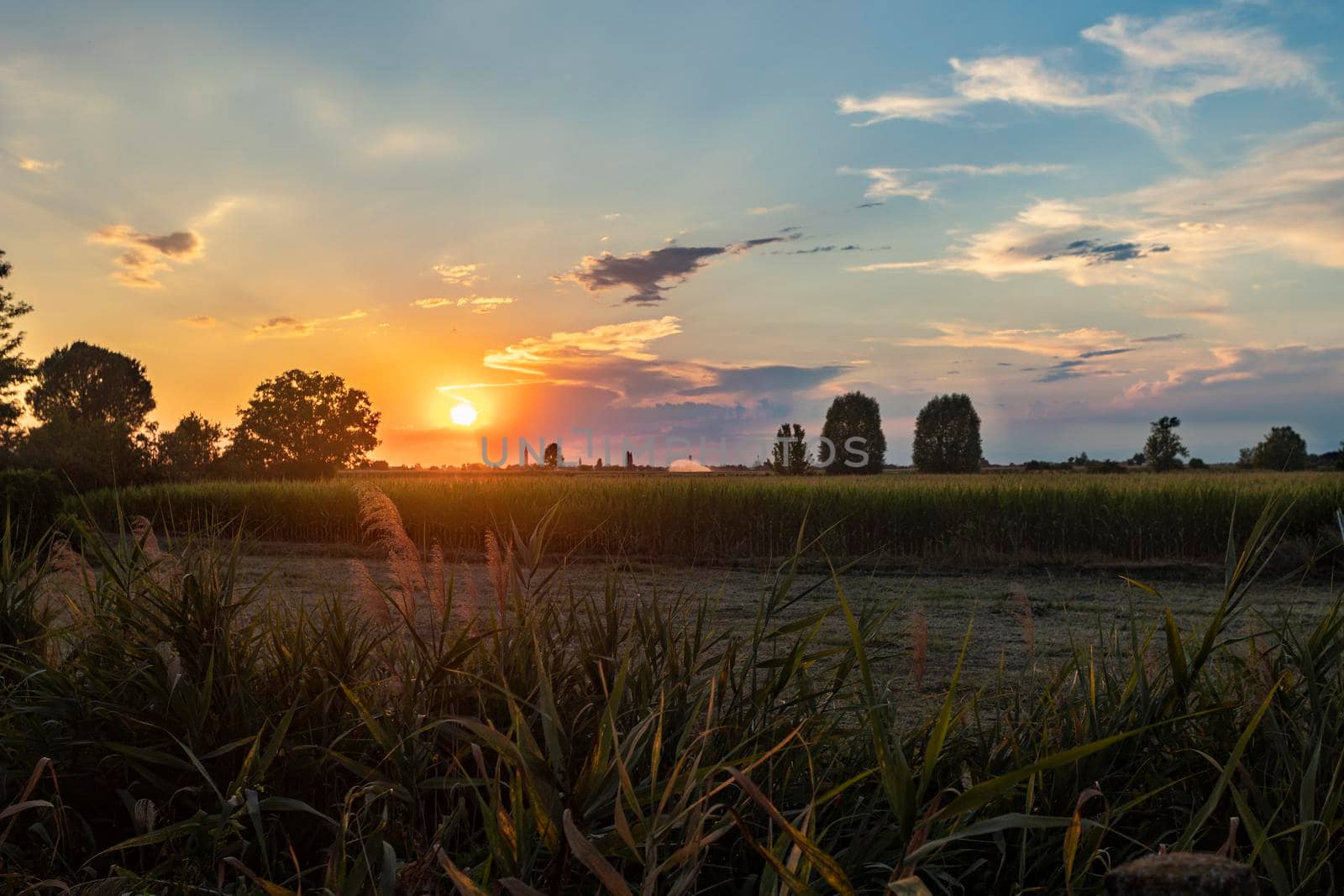 Magnificent sunset over the fields landscape in summer season