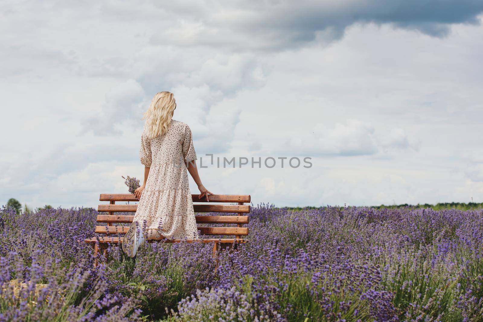 Young woman in a lavender field holding a bouquet of lavender a sunny day. by leonik
