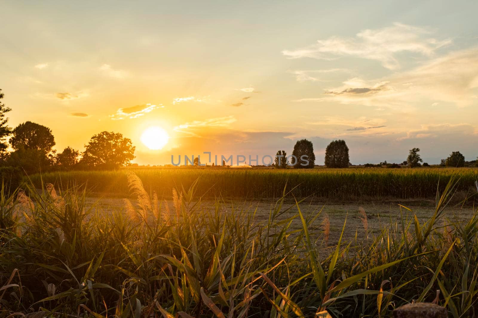 Magnificent sunset over the fields landscape in summer season