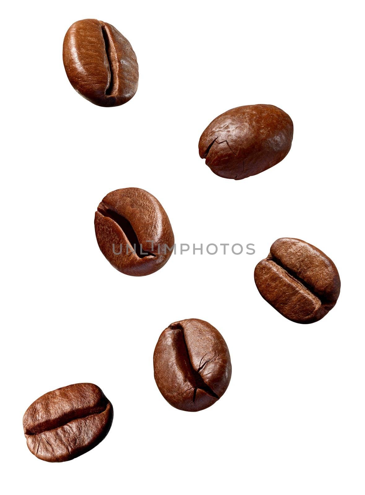 collection of various coffee bean on white background